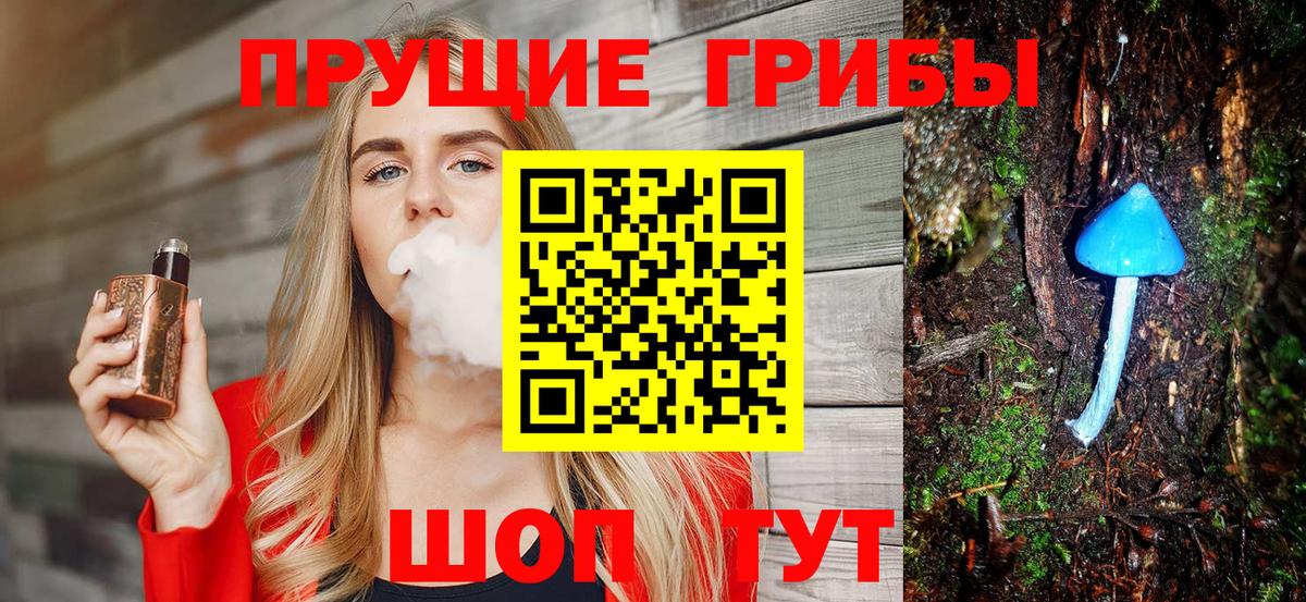 Псилоцибиновые грибы GOLDEN TEACHER  Вход с VPN  Новодвинск 