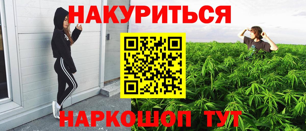 Бошки марихуана SATIVA & INDICA  Марихуана план  Марихуана гибрид  Вход с VPN  Бошки марихуана SATIVA & INDICA  Новодвинск 